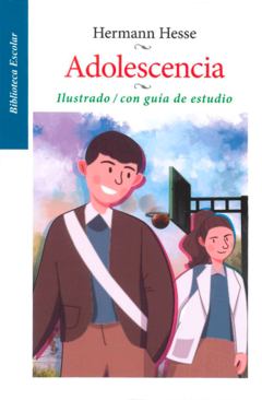 Adolescencia Hermann Hesse Scott Fitzgerald Biblioteca Escolar