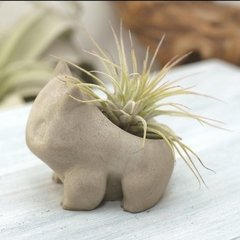 Molde de Silicone de Vaso Pokémon Bulbasaur Ref 779 na internet