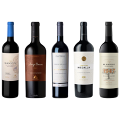 COMBO COLECCIÓN EXCLUSIVA CABERNET SAUVIGNON