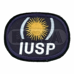 Escudo Brazo Instituto Universitario de Seguridad Pública (7709138)