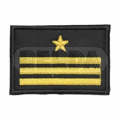 Insignia Auxiliar Mayor (8505158)