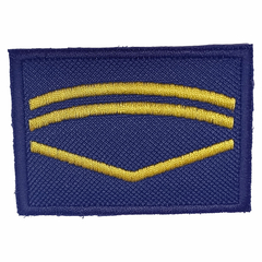 Insignia Auxiliar 2° (8505789)