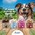 4UN - Prefere Gelato Especial para Cães (50g) - comprar online