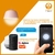 Mini Switch 2 Canales Wifi Smartlife / Tuya