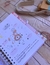 Caderneta de saúde Leão rosa e sua turma - Livro do bebê personalizado | Caderneta de saúde | GrazyParties 