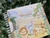 Livro do bebê animais Savana - Livro do bebê personalizado | Caderneta de saúde | GrazyParties 