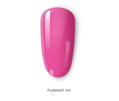 584 glossover - Flamant