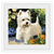 Imagem do Artesanato Pintura Diamante Diy 20x20 - West Highlan Terrier