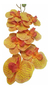 Flor Artifical Orquidea Real Ao Toque Haste 56cm - Amarela - PET PATAO SHOP