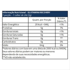 GLUTAMINA RECOVERY 1000 PERFORMANCE 300G - comprar online