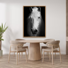 QUADRO CAVALO FACE