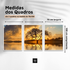 TRIO DE QUADROS ÁRVORE ESPELHADA - Quadros & Quadrinhos