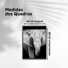 QUADRO ELEFANTE II - comprar online