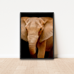 QUADRO ELEFANTE I - comprar online