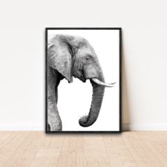 Imagem do QUADRO ELEFANTE PRETO E BRANCO I