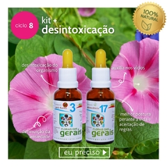 KIT + DESINTOXICAÇÃO E CALMA (4 COMPOSTOS) + Difusor pessoal Inalador nasal de Aromaterapia Livre de vícios - comprar online