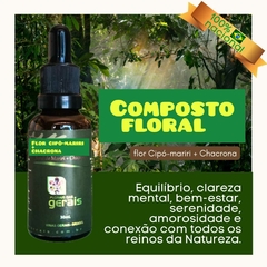 Composto (Ayhuaska FLOR DO CIPÓ-MARIRI + CHACRONA 30ml - +Foco e clareza mental- ansiedade e sintomas depressivos. na internet