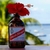 12 Cervejas Jamaicanas Red Stripe Lager 330Ml na internet