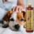 Imagem do Shampoo Clareador Tonalizante Ametista Bambu Mossô 1L Pronto Uso Dolce Pet