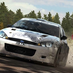 Dirt Rally PS4 Digital Primario en internet
