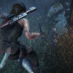 Rise of the Tomb Raider PS4 Digital Secundaria en internet