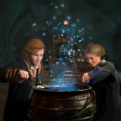 Harry Potter Hogwarts Legacy PS4 Digital Secundaria en internet