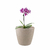 6 un Vaso plantas colmeia decorativo flor G CINZA - comprar online