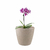 10 un Vaso plantas colmeia decorativo flor G CINZA - comprar online