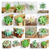 12un Planta suculenta artificial decoração vasinhos arranjos - comprar online