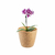 3 un Vaso plantas colmeia decorativo flor G MARROM CLARO - GR GASTRONOMIA E DECORAÇÃO