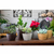 2 un Vaso plantas colmeia decorativo flor G MARROM CLARO - loja online