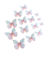 Set Mariposas Reales Surtidas Comestibles en internet