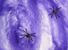 Tela de araña halloween violeta
