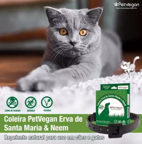 Jogo de tabuleiro gatos e cães - natural