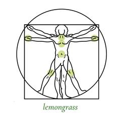 Crema Lemongrass - Nushi Terapia Botánica
