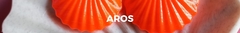 Banner de la categoría Aros