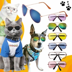 Perros con lentes de sol on sale