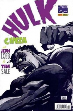 Hulk Cinza 02
