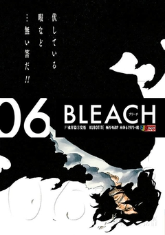 Bleach Remix 06