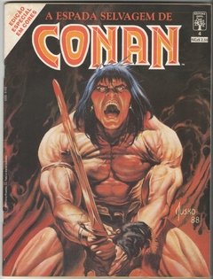A Espada Selvagem de Conan em Cores Vol 01 ao 11 ABRIL - loja online