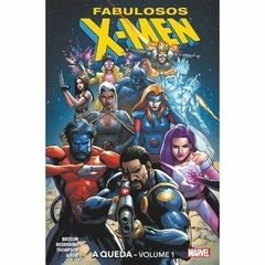 Fabulosos X-men - Completo - Usado