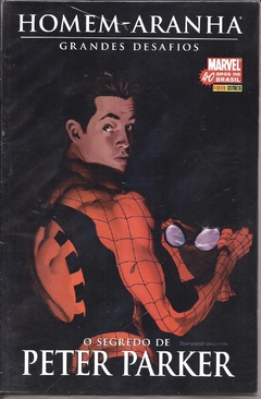 Homem-Aranha Grandes Desafios vol. 6