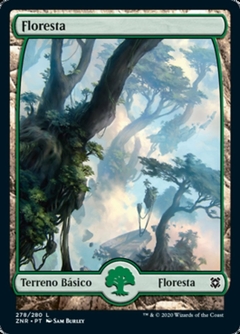 Floresta - Full Art - Kit com 10 Unidades