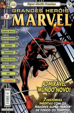 Premium Grandes Heróis Marvel Box Completa - Usado