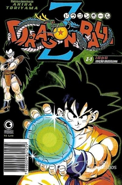 Dragon Ball Z Box 01 ao 51 - Usado