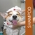 Shampoo Neutro Tangerina Banho E Tosa Cães Gatos Premium- 1l - Suporte Pet