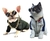 Óculos De Sol Para Cães E Gatos Cachorro Pet Pequeno Porte - comprar online