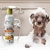 Shampoo Neutro Tangerina Banho E Tosa Cães Gatos Premium- 1l na internet