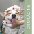 Shampoo Alecrim Do Campo Banho E Tosa Cães E Gato - 5 Litros - Suporte Pet