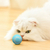 Brinquedo Bolinha Inteligente Giratória Para Gato Recarregável de Silicone - comprar online